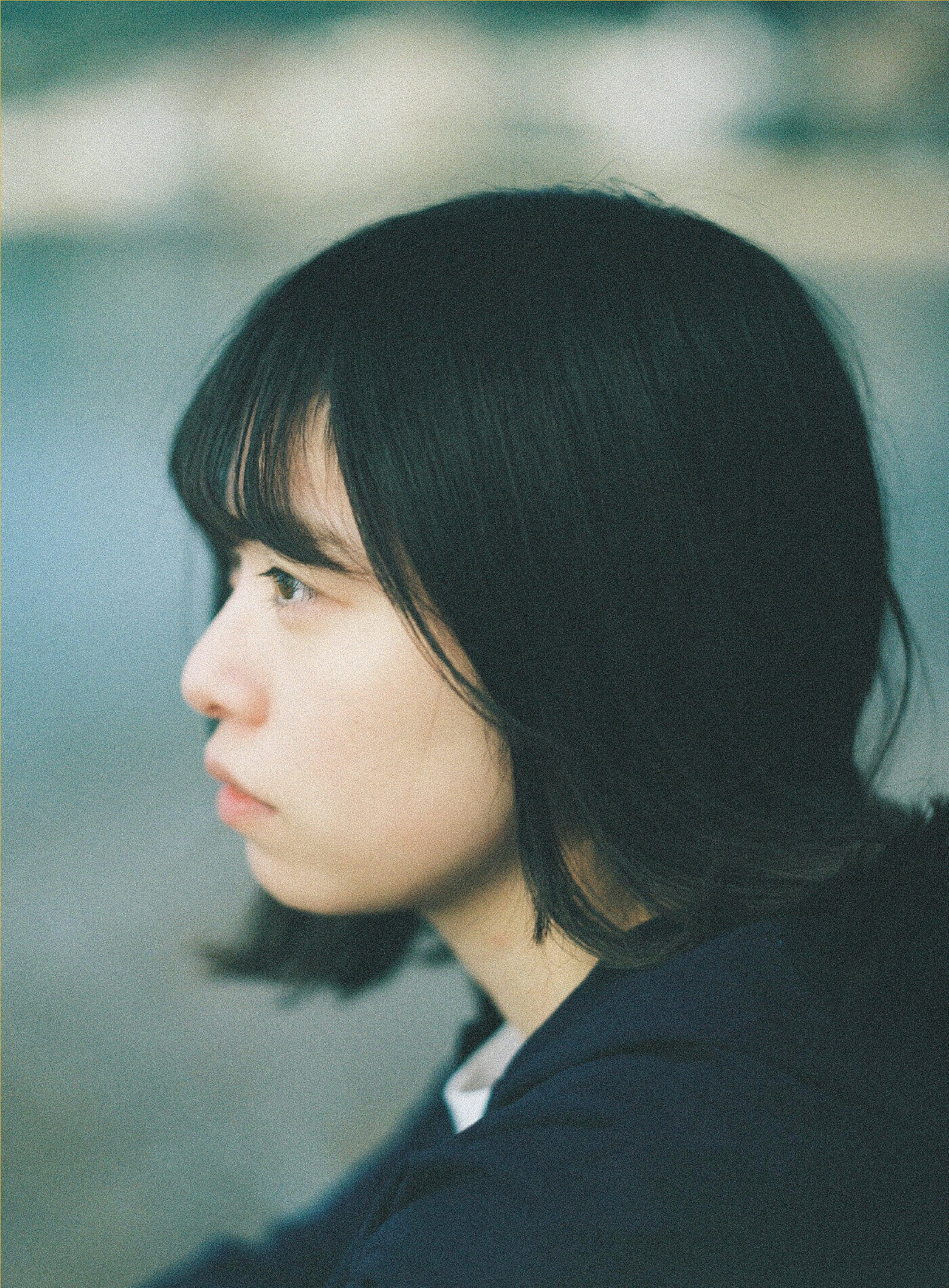 応募する