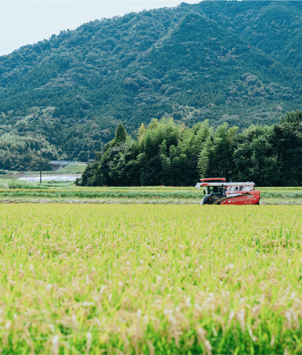地道キービジュアル02